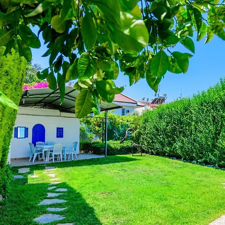 Kavak Garden *