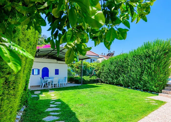 Kavak Garden *