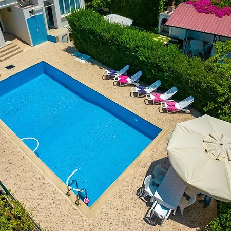 Kavak Garden